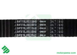 cinghia trasmissione cf (3)
